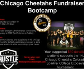 14u Chicago Cheetahs Charity Bootcamp