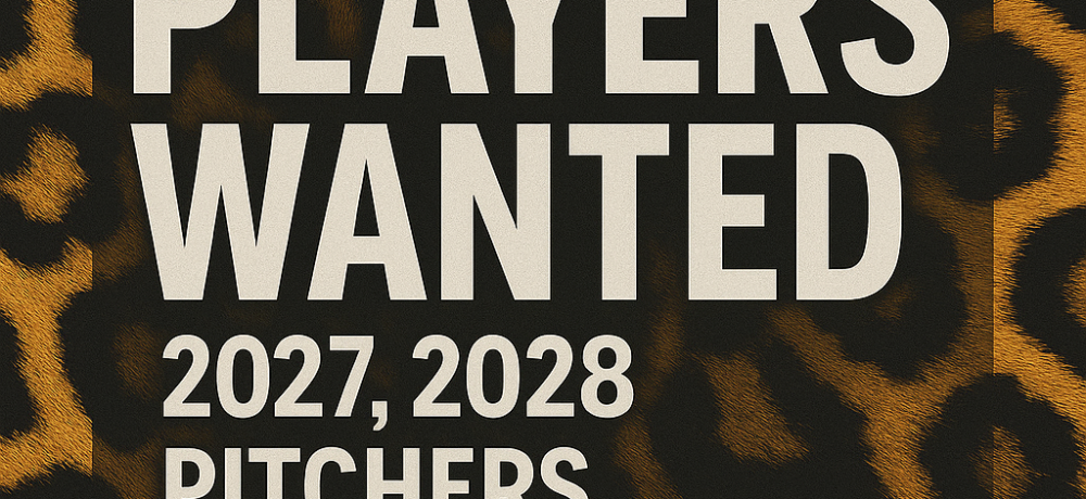 18U Pitcher & Utility Players Wanted