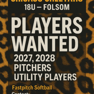 18U Pitcher & Utility Players Wanted