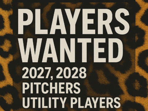 18U Pitcher & Utility Players Wanted