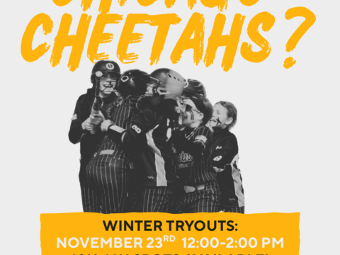 Cheetahs Winter Tryouts! November 23rd