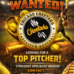 14U Pitcher Wanted