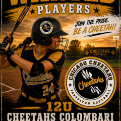 Seeking Players for Summer – 12U Chicago Cheetahs – Colombari