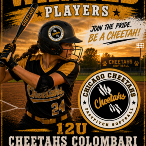 Seeking Players for Summer – 12U Chicago Cheetahs Columbus – Colombari