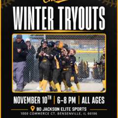 Chicago Cheetahs Winter Tryouts – November 10th 6-9pm [All Ages]