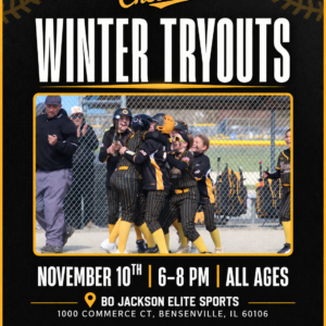 Chicago Cheetahs Winter Tryouts – November 10th 6-9pm [All Ages]