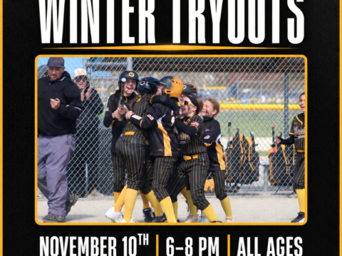Chicago Cheetahs Winter Tryouts – November 10th 6-9pm [All Ages]