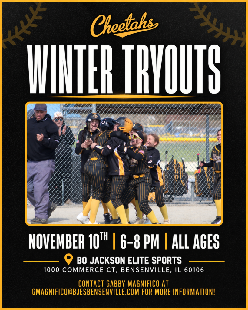 Chicago Cheetahs Winter Tryouts – November 10th 6-9pm [All Ages]
